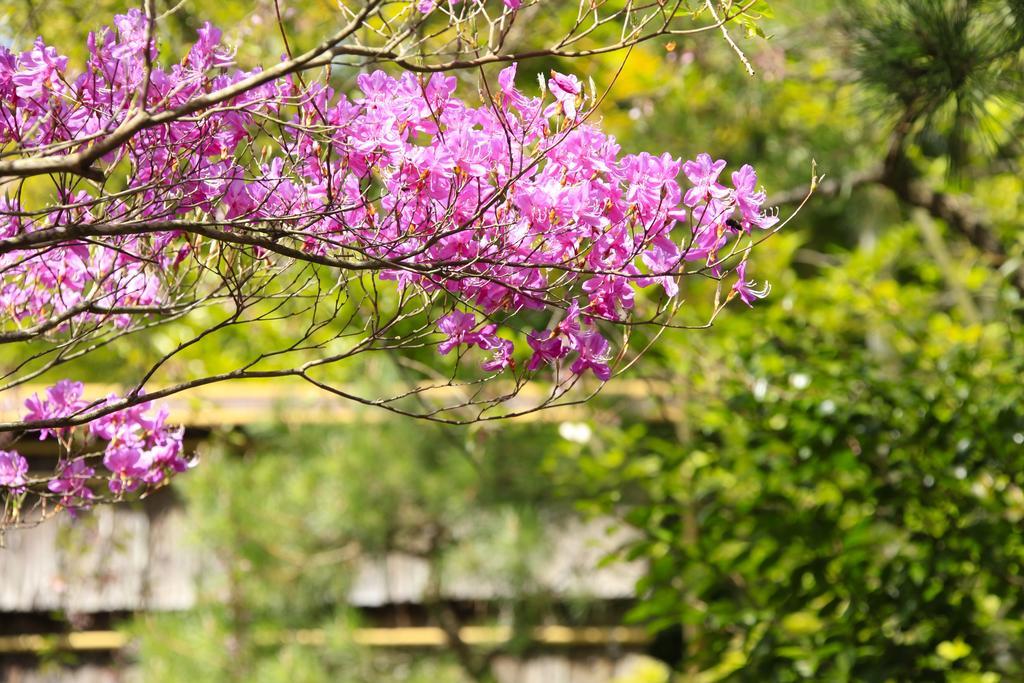 Yutorelo-an Hakone Exterior foto